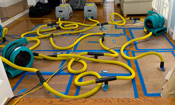 Professional Crawl Space Water Removal technician working in Morley, MI